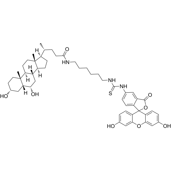 FITC-hyodeoxycholic acid 2374144-21-3